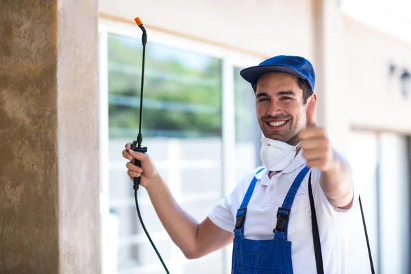 Paris Wasp Removal
