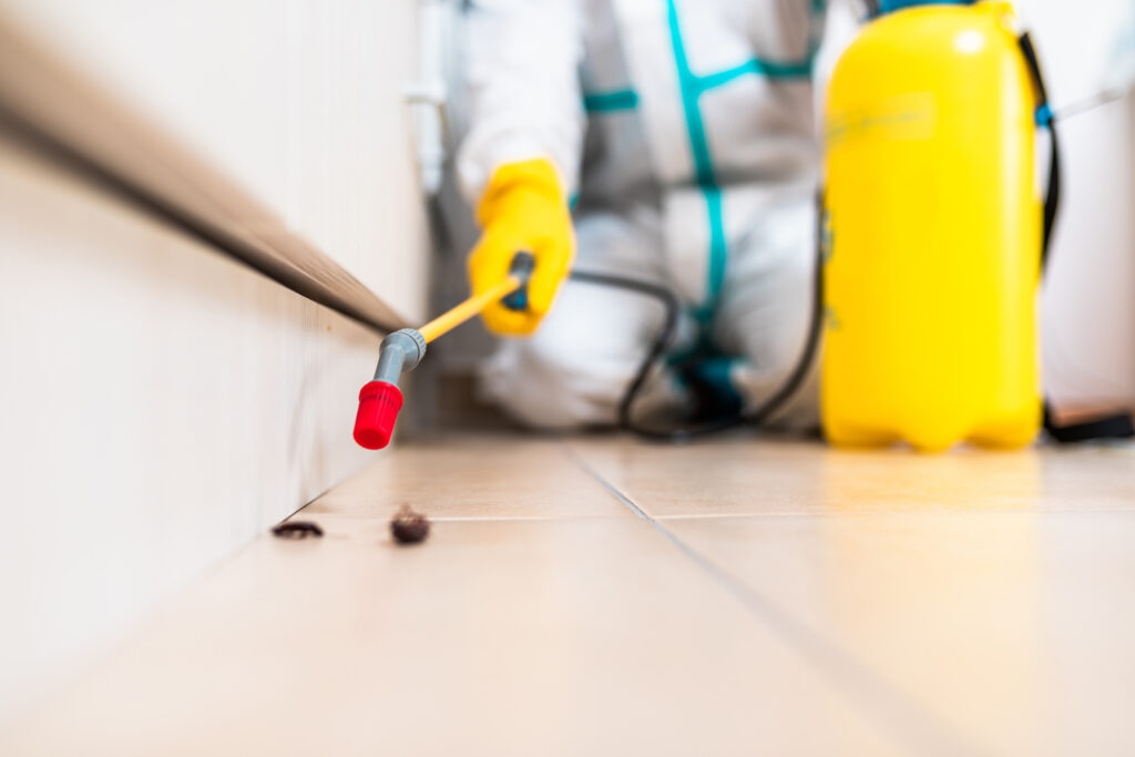 Paris Cockroach Experts
