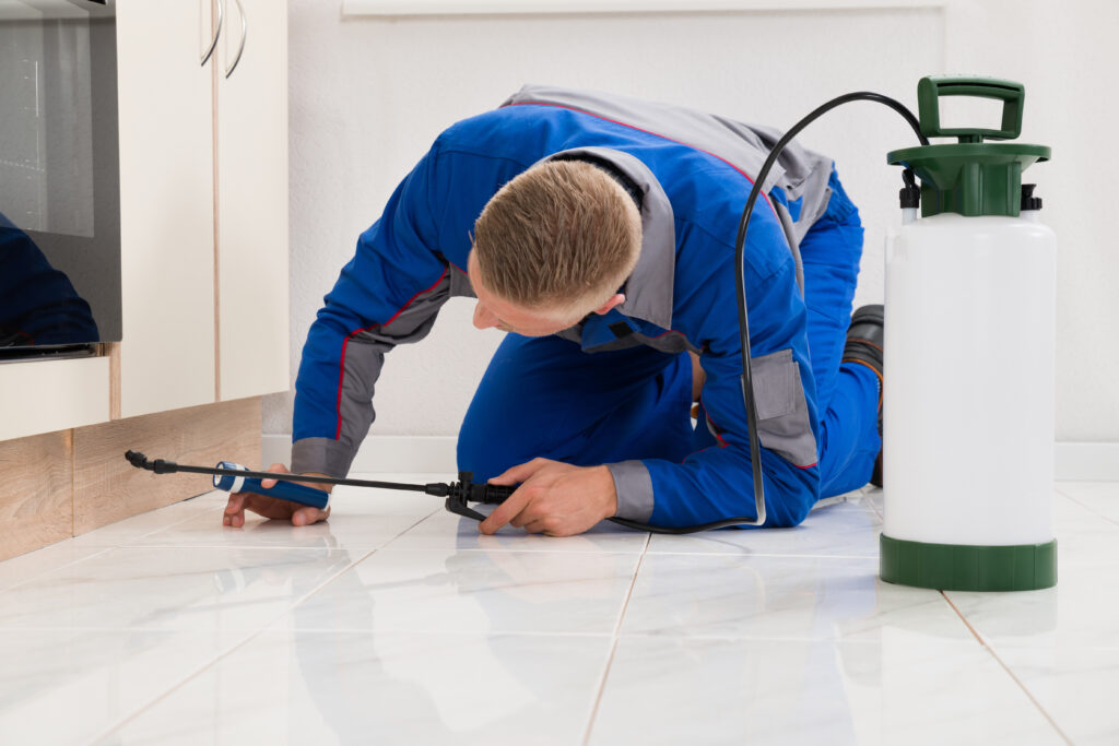 Paris Ant Control Xperts