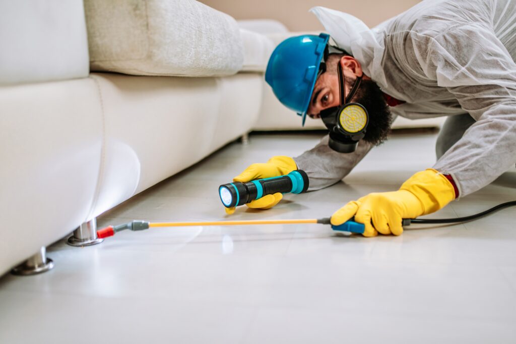 Paris Termite Control