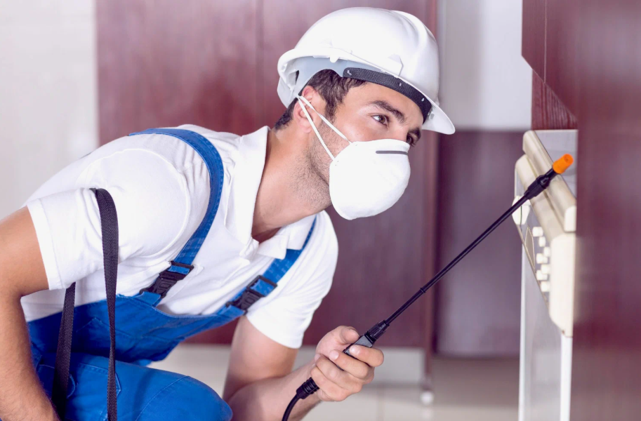 Paris local pest services