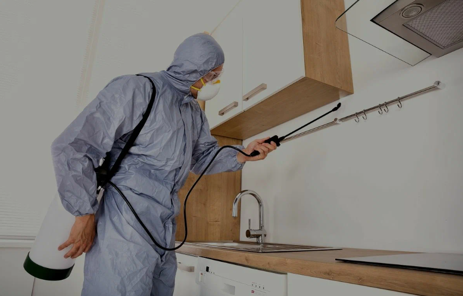 Paris pest managment